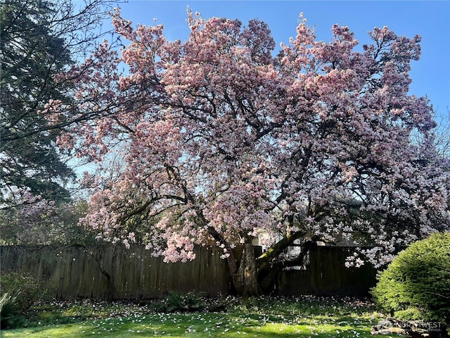 view of yard featuring fence