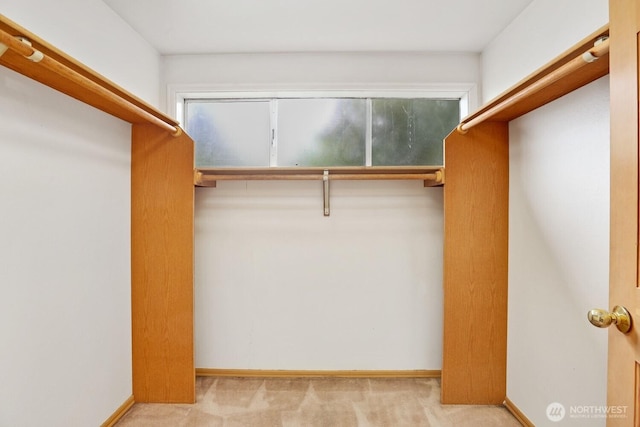 8840 NE 24th St, Clyde Hill, WA 98004 - spacious closet with carpet