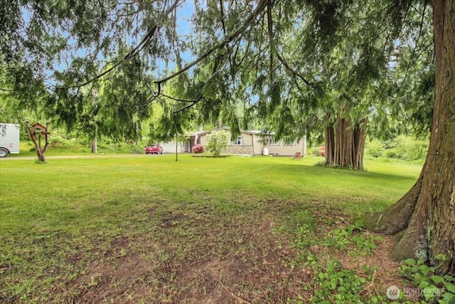 view of grassy yard