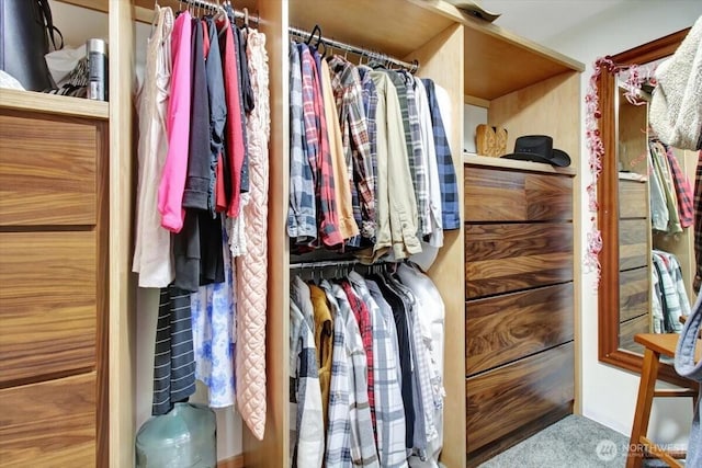 walk in closet with carpet flooring