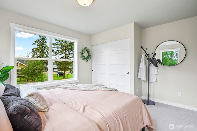 17711 11th Ave NE, Arlington, WA 98223 - carpeted bedroom with baseboards and a closet