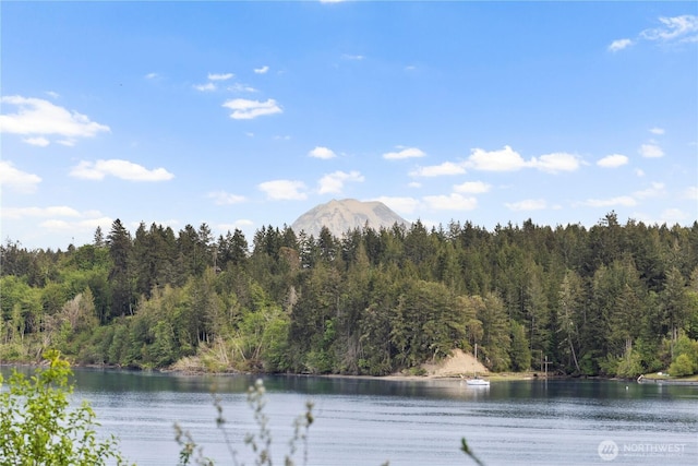 water view with a forest and a mountainous background