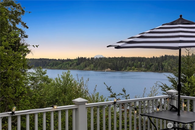 water view featuring a heavily wooded area