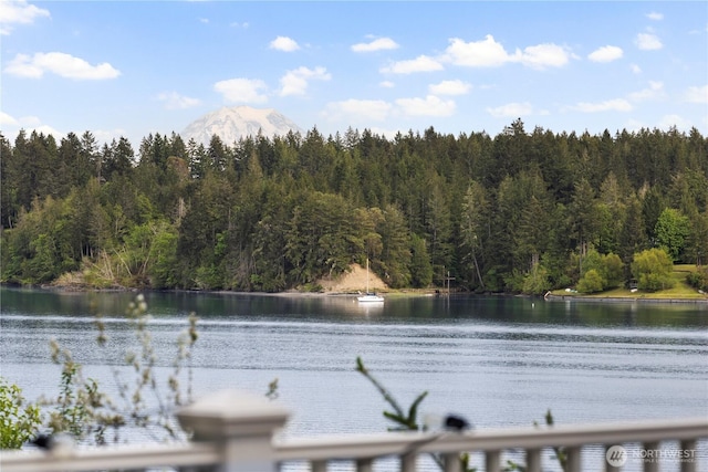 water view featuring a heavily wooded area