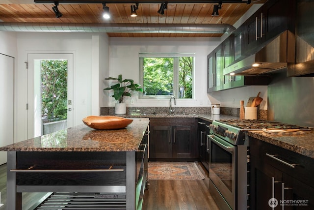 530 Broadway E Unit 124, Seattle, WA 98102 - kitchen featuring stainless steel range with gas cooktop, track lighting, a sink, wood finished floors, and wooden ceiling