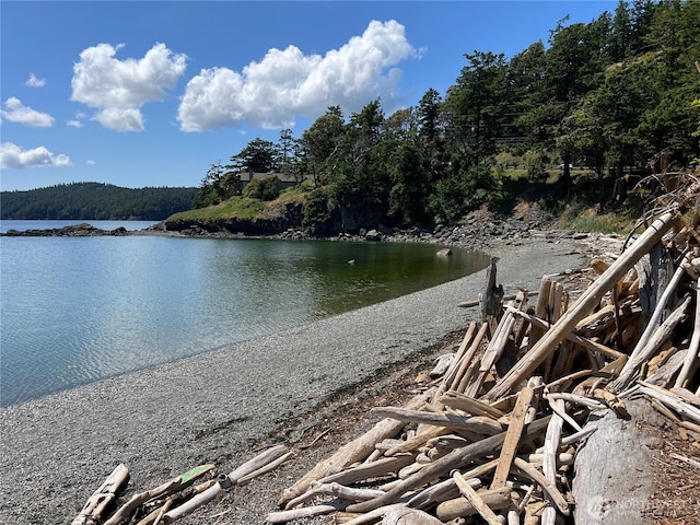 0 Main St S, Orcas Island, WA 98245