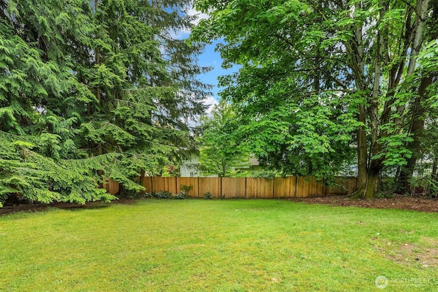 19924 31st Dr SE, Bothell, WA 98012 - view of yard