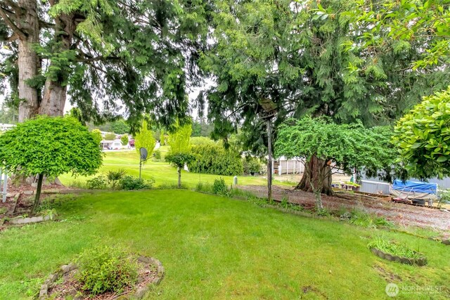 2101 S 324th St Unit 136, Federal Way, WA 98003 - view of green lawn