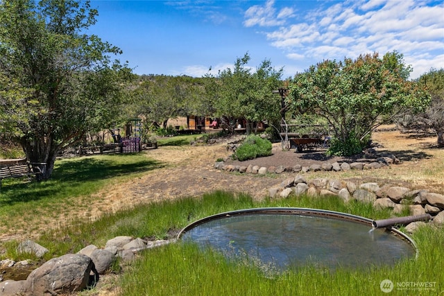 6530 Colockum Rd, Ellensburg, WA 98926 - view of yard