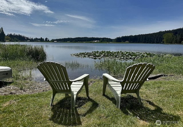 5066 Bayview Rd, Langley, WA 98260 - dock with a water view and a forest view