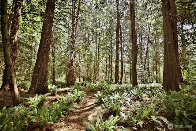 5066 Bayview Rd, Langley, WA 98260 - view of tree filled area