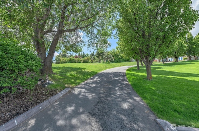 1400 Westpoint Pl, Wenatchee, WA 98801 - surrounding community with a lawn