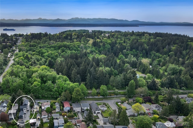 3818 36th Ave W, Seattle, WA 98199 - photo 18