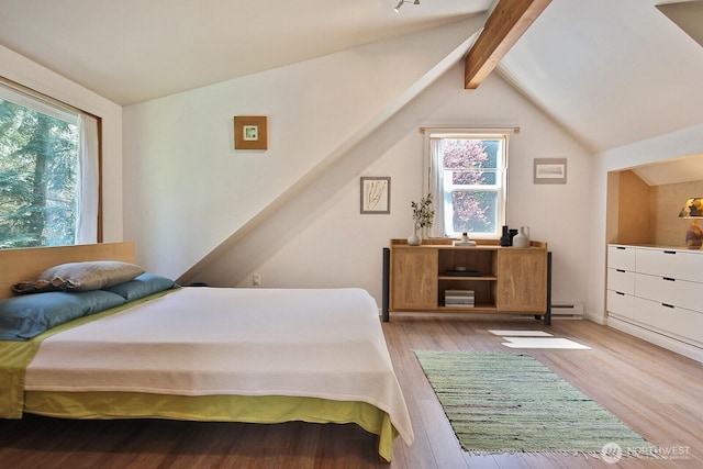 3425 Passage Way, Langley, WA 98260 - bedroom featuring multiple windows and wood finished floors