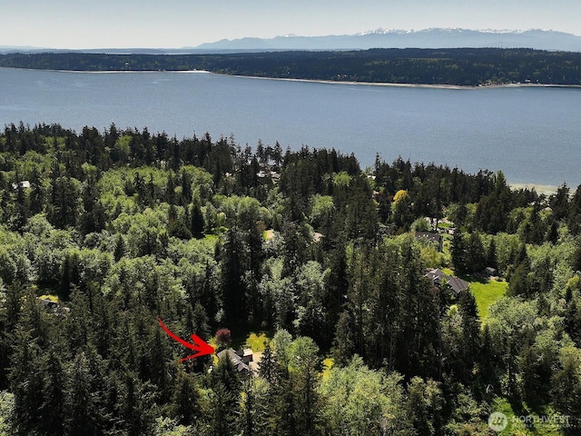 3425 Passage Way, Langley, WA 98260 - aerial view of a heavily wooded area and a water and mountain view