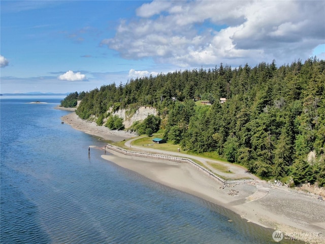 3425 Passage Way, Langley, WA 98260 - drone / aerial view of a nearby body of water and a forest