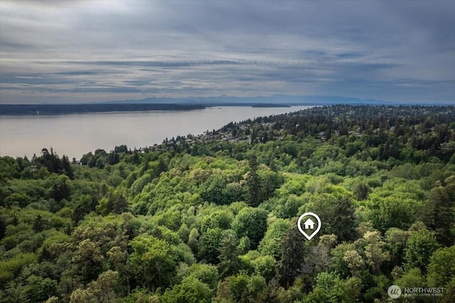 drone / aerial view of a large body of water and a heavily wooded area