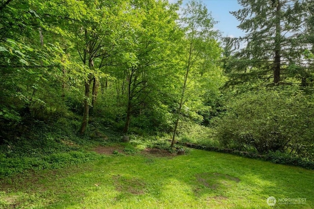 view of wooded area