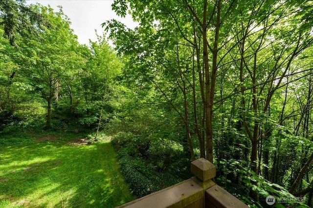 view of grassy yard featuring a wooded view