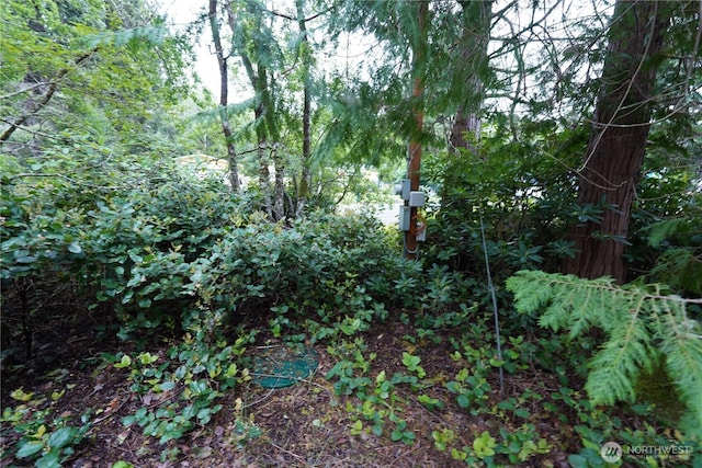 2001 323rd Pl, Ocean Park, WA 98640 - photo 6