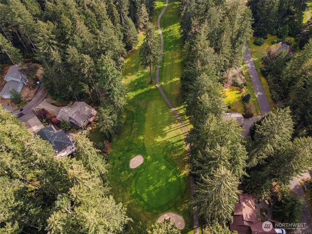 10915 Mathews Way, Anderson Island, WA 98303