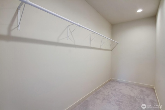3816B 36th Ave W, Seattle, WA 98199 - walk in closet featuring light colored carpet