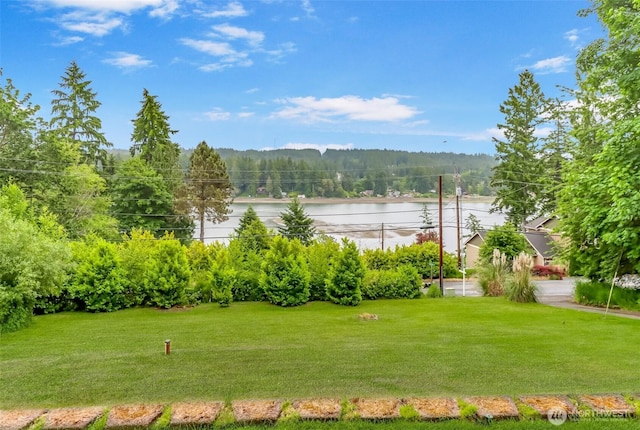 7509 145th St NW, Gig Harbor, WA 98329 - view of grassy yard featuring a water view