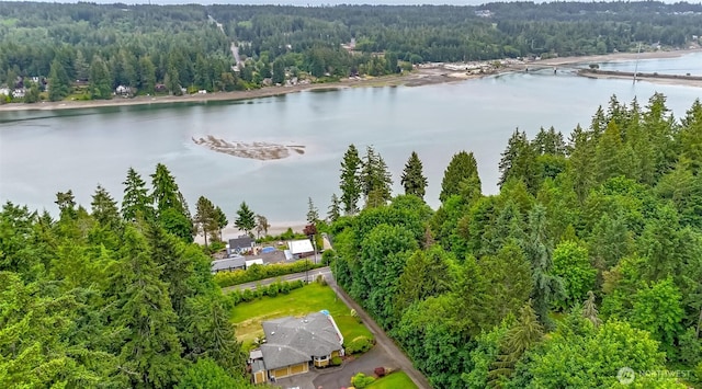 7509 145th St NW, Gig Harbor, WA 98329 - aerial view of a forest and a nearby body of water