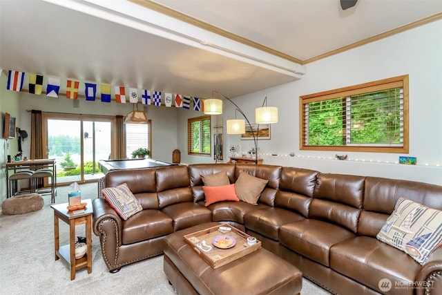 7509 145th St NW, Gig Harbor, WA 98329 - living room with carpet, crown molding, and plenty of natural light