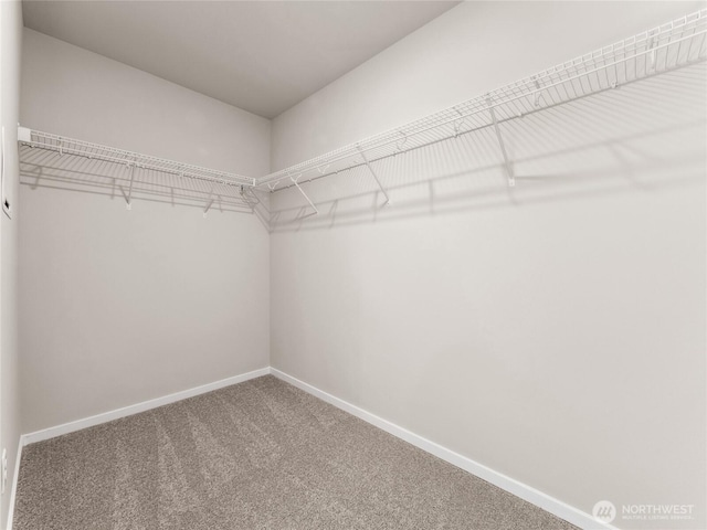 28305 74th Dr NW Unit 89, Stanwood, WA 98292 - spacious closet featuring carpet