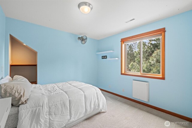 12111 W Shugart Flats Rd, Leavenworth, WA 98826 - bedroom with light carpet, radiator, and baseboards