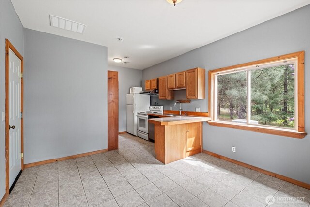 12111 W Shugart Flats Rd, Leavenworth, WA 98826 - kitchen featuring white appliances, a peninsula, baseboards, a sink, and light countertops