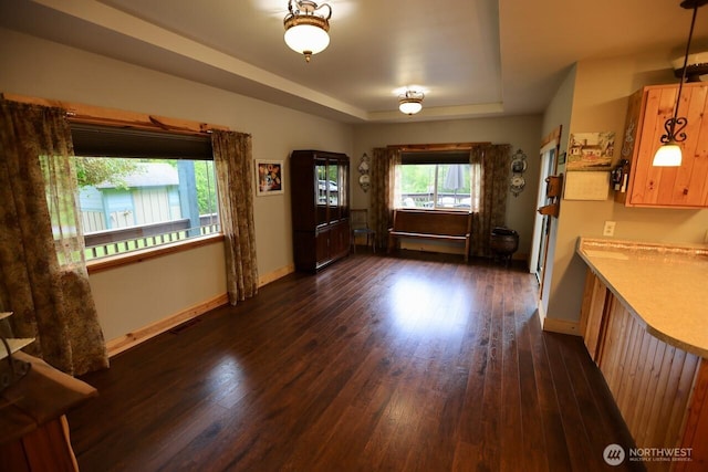 foyer entrance featuring dark wood finished floors, a raised ceiling, and baseboards