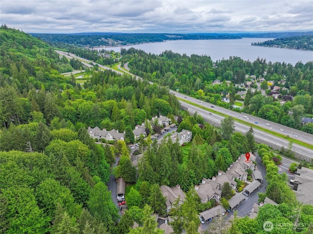 18505 SE Newport Way Unit A203, Issaquah, WA 98027 - aerial perspective of suburban area with a large body of water and a forest