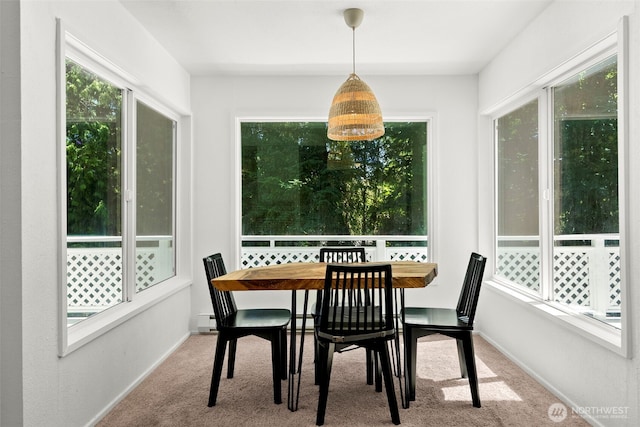 270 Puget Loop, Port Ludlow, WA 98365 - dining room with carpet floors and baseboard heating
