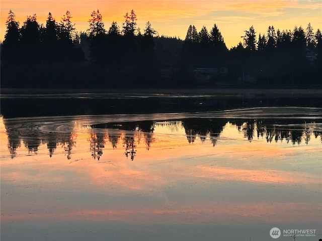 5341 S Bercot Rd, Freeland, WA 98249 - water view