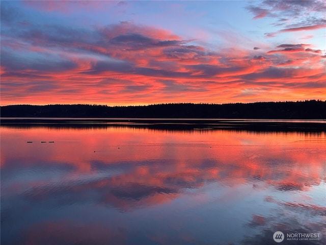5341 S Bercot Rd, Freeland, WA 98249 - water view