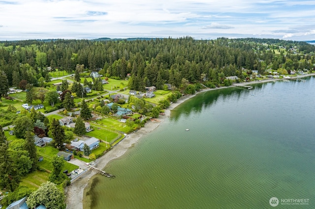 5341 S Bercot Rd, Freeland, WA 98249 - view of property location with a forest and a nearby body of water