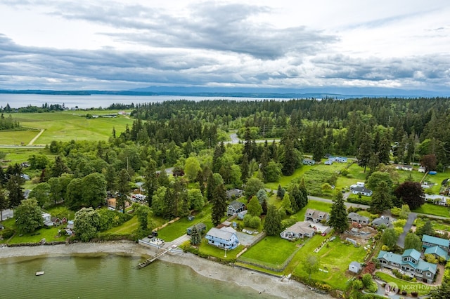 5341 S Bercot Rd, Freeland, WA 98249 - bird's eye view of a large body of water and a heavily wooded area