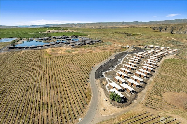 23692 NW Cliffe Pointe Rd Unit 6C, Quincy, WA 98848 - view of rural area featuring large plots for crops and mountains