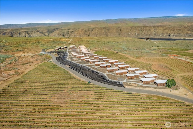 23692 NW Cliffe Pointe Rd Unit 6C, Quincy, WA 98848 - view of rural area featuring rows of crops