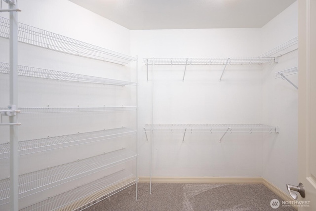 8306ROAD 3.2 NE, Moses Lake, WA 98837 - spacious closet with carpet