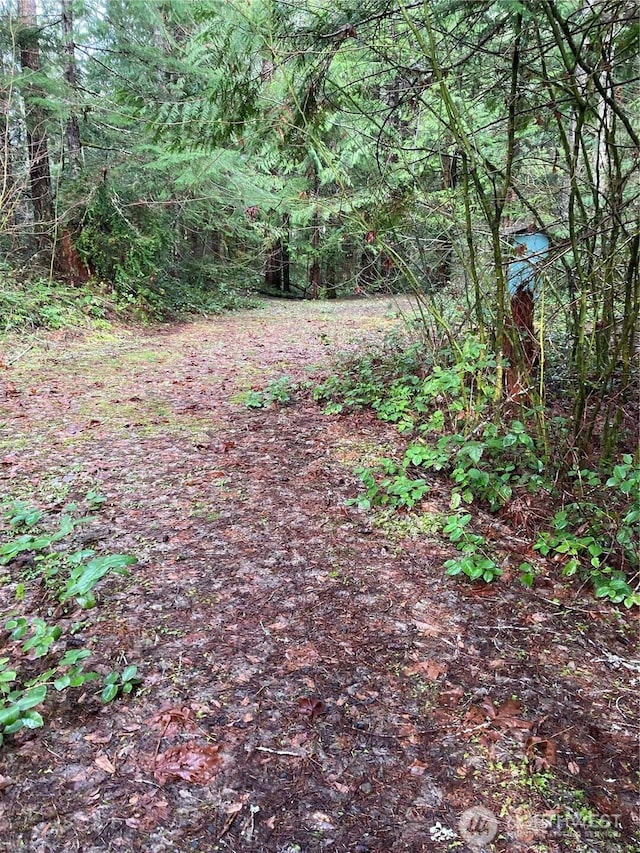 231 N Goldeneye Dr, Hoodsport, WA 98548 - photo 1