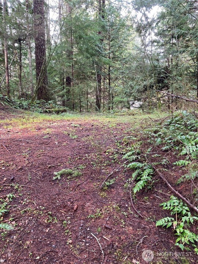 231 N Goldeneye Dr, Hoodsport, WA 98548 - photo 3