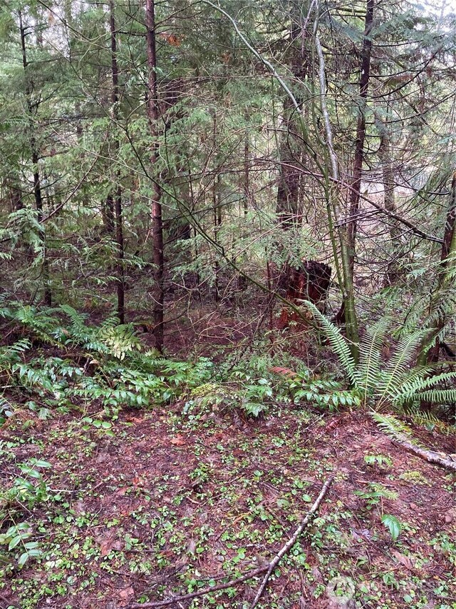 231 N Goldeneye Dr, Hoodsport, WA 98548 - photo 7