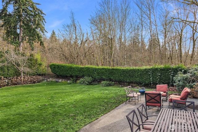 view of yard featuring a patio area