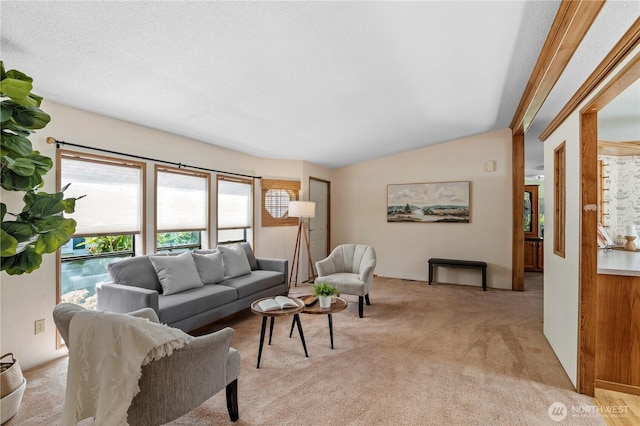 2610 E Section St Unit 115, Mount Vernon, WA 98274 - living area featuring healthy amount of natural light, lofted ceiling, and light carpet