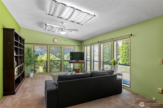 2610 E Section St Unit 115, Mount Vernon, WA 98274 - living area featuring carpet flooring, a textured ceiling, a ceiling fan, and vaulted ceiling