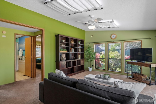 2610 E Section St Unit 115, Mount Vernon, WA 98274 - living area with carpet floors, ceiling fan, vaulted ceiling, and a textured ceiling