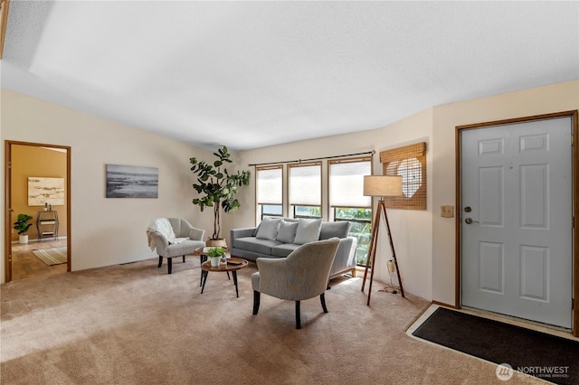 2610 E Section St Unit 115, Mount Vernon, WA 98274 - living room featuring carpet flooring